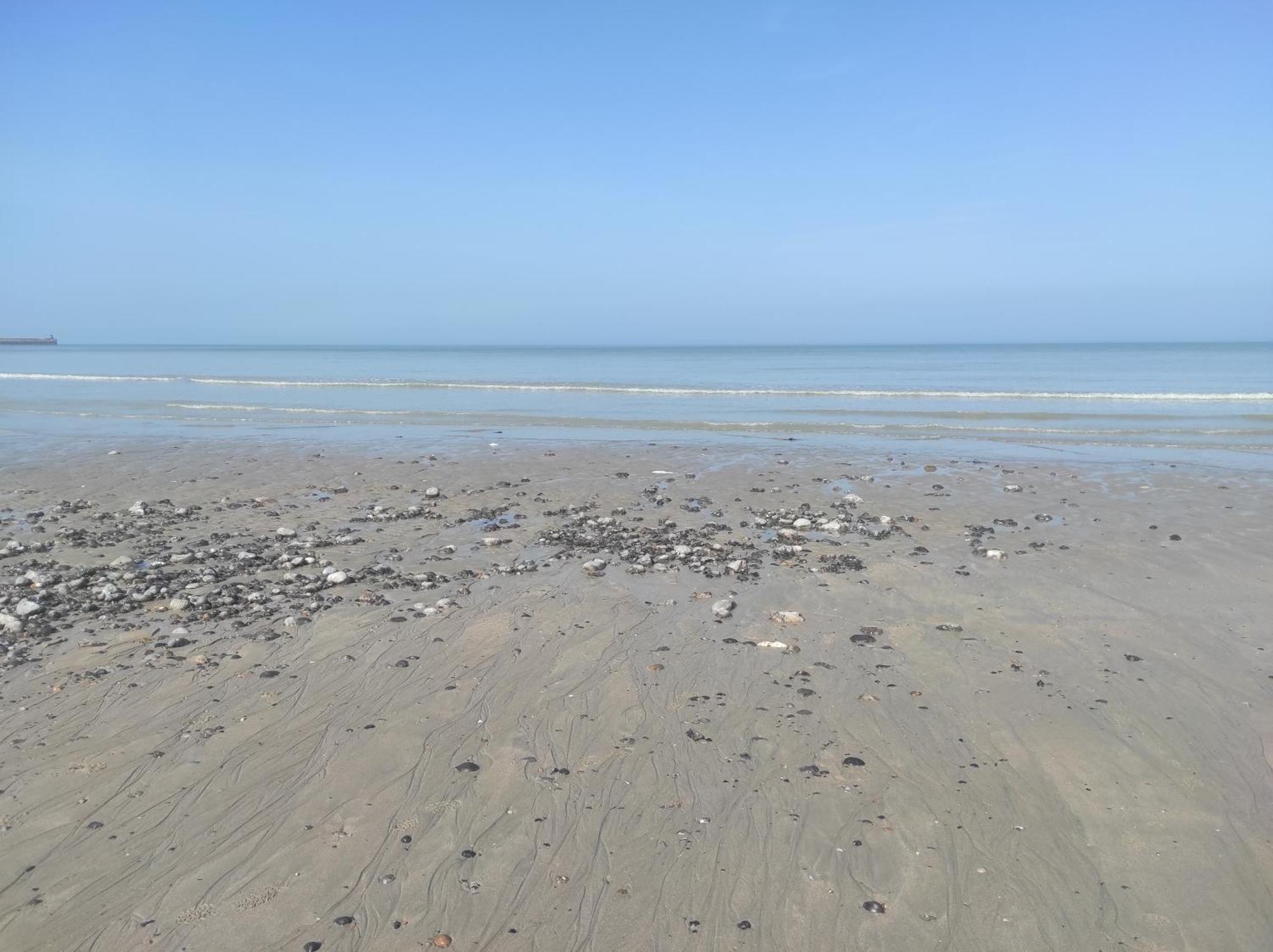 Le Retour De La Plage, * Dieppe